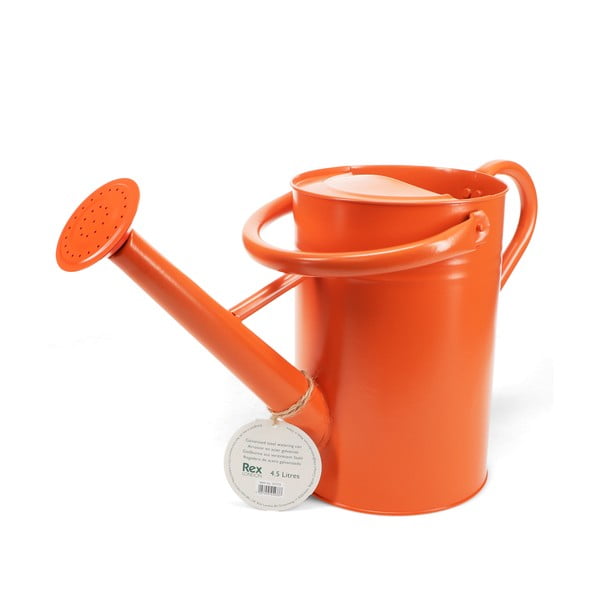 Iš metalo laistytuvas 4,5 l – Rex London-image-2