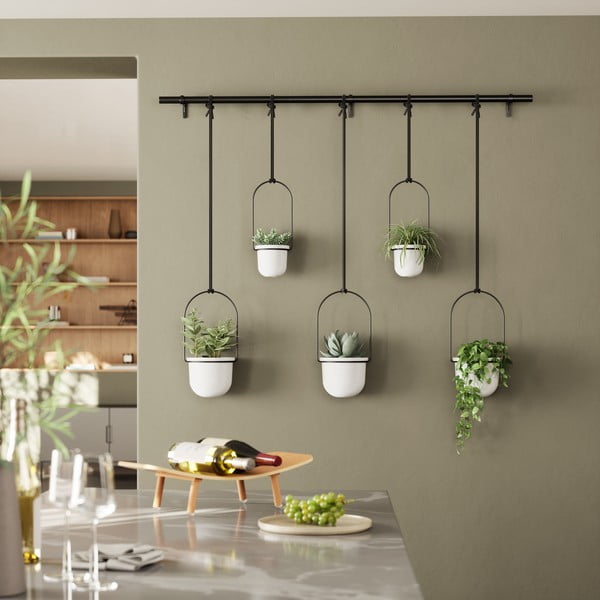 Iš plastiko gėlių vazonų dangteliai 5 vnt. žolelėms/pakabinami ir sieniniai ø 7,5 cm Triflora – Umbra-image-1