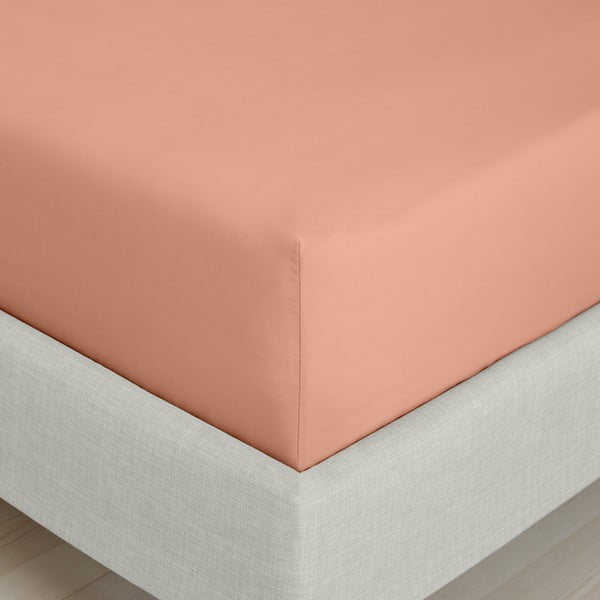 Terakotos spalvos iš medvilninio perkelio paklodė su guma 90x190 cm Cotton Percale – Bianca-image-3