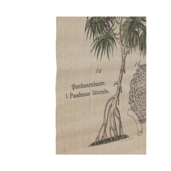 Gobelenas 50x70 cm Palm – Ixia-image-1