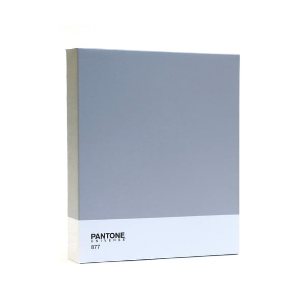 Vaizdas Pantone 877 Classic Silver