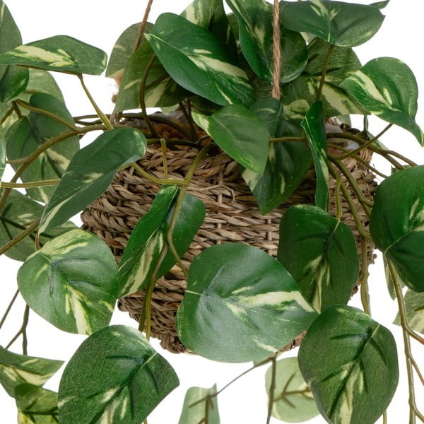 Dirbtiniai augalai 2 vnt. (aukštis 50 cm) – Casa Selección-image-1