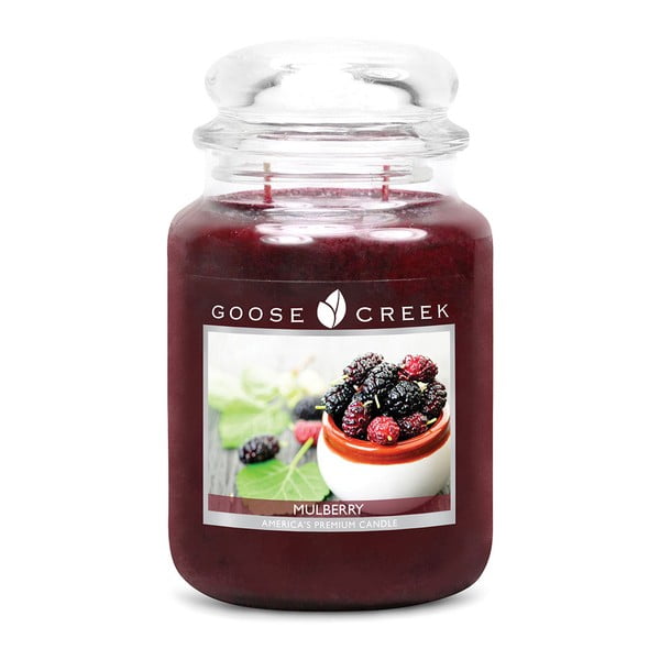 "Goose Creek Dark Mulberry" kvapioji žvakė stikliniame indelyje, 150 valandų degimo trukmė