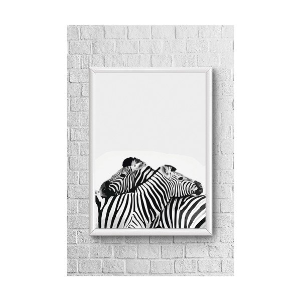 Plakatas Piacenza Art Du zebrai, 33,5 x 23,5 cm