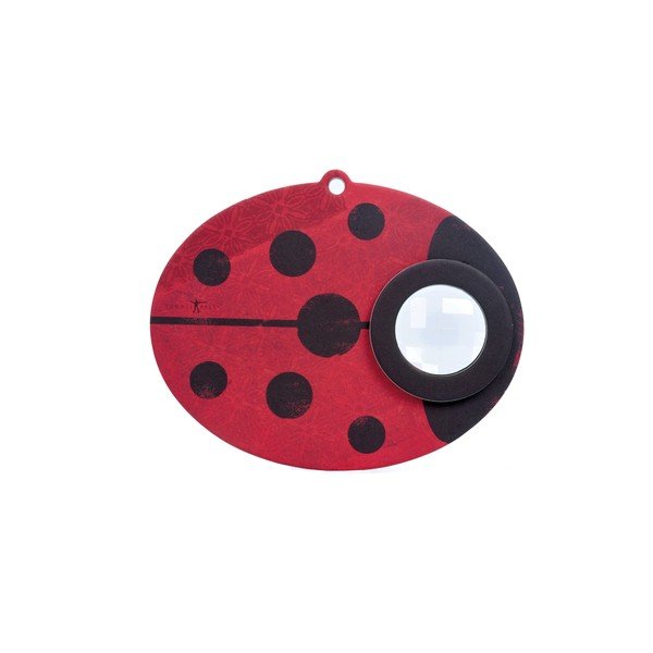 Kaleidoskopas Ladybug Londji