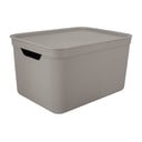 Plastikinė laikymo dėžė su dangčiu Deco - Rotho