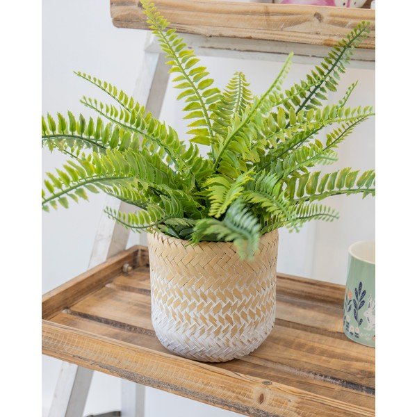 Jūržolės vazonas Kitchen Craft Ombré-image-1