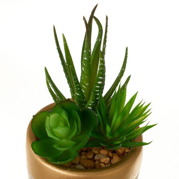 Dirbtiniai augalai 4 vnt. (aukštis 17 cm) Cactus – Casa Selección-image-2