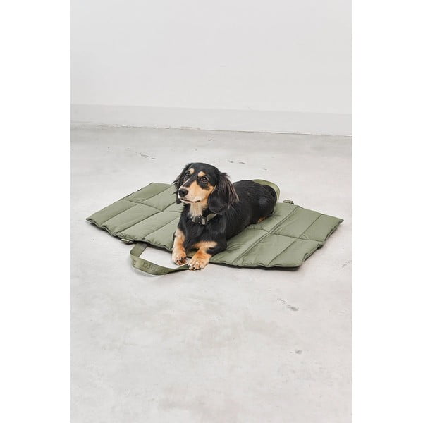 Kelioninė lova žalios spalvos šuniui 53x80 cm Strada Grolive S – MiaCara-image-2