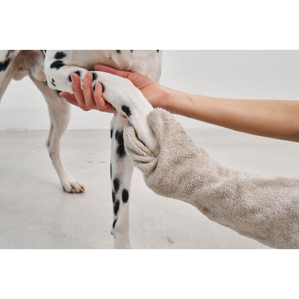 Aksesuaras augintiniams Guanto Midnight – MiaCara-image-1