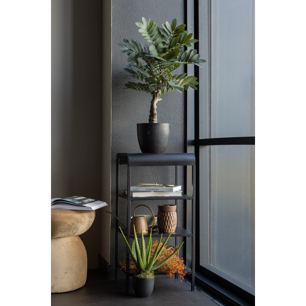 Dirbtinis alavijas WOOOD, aukštis 46 cm-image-3