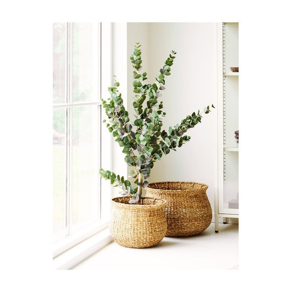 Iš jūržolės vazonai 2 vnt. ø 46 cm Eden – House Nordic-image-2