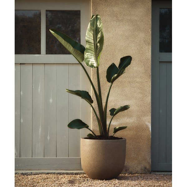 Iš cemento gėlių vazonų dangteliai 2 vnt. ø 44 cm Selvi – Kave Home-image-1