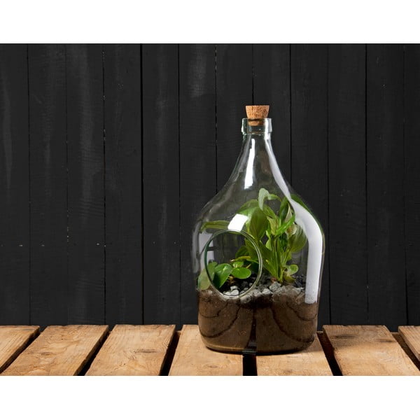 Iš stiklo aerariumas ø 20 cm – Esschert Design-image-1