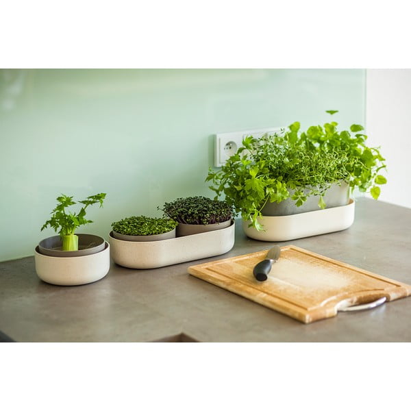 Daiginimo padėklų rinkinys Velká farma Microgreens & Regrow - Plastia-image-4