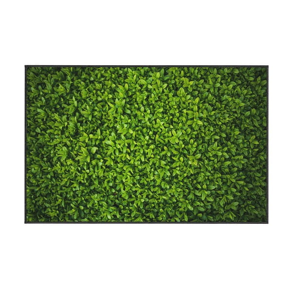 Žalias kilimas Oyo home Ivy, 100 x 140 cm