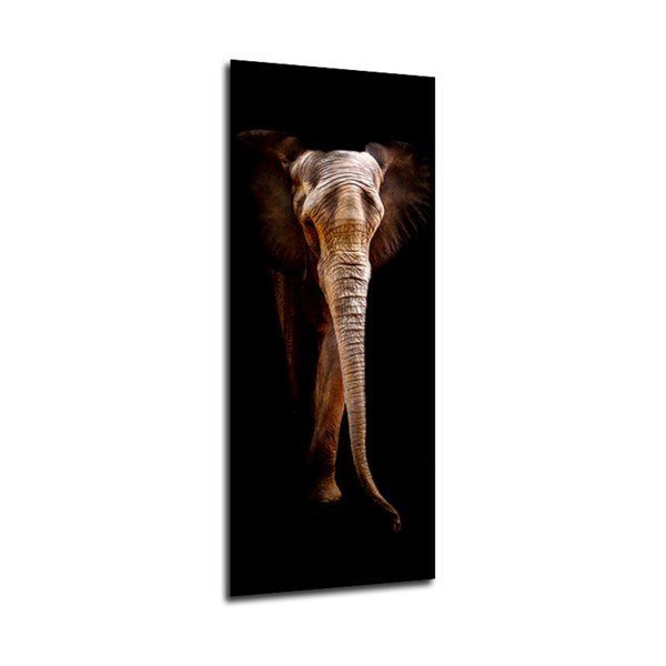 Paveikslas Styler Elephant, 125 x 50 cm-image-1