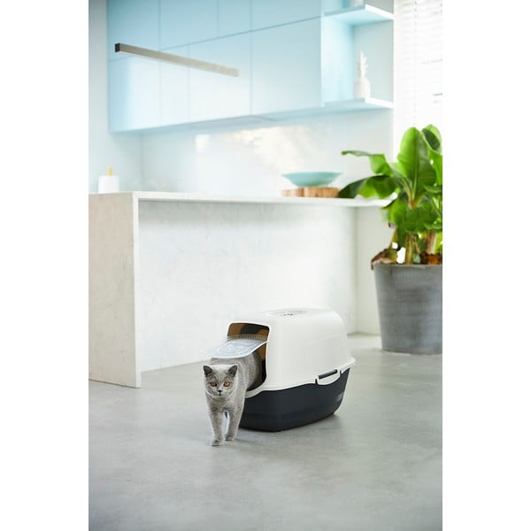 Kačių kraiko dėžė 56x40 cm Eco Bailey - Rotho-image-1