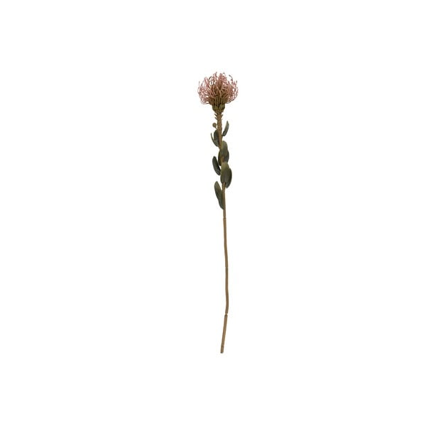 Dirbtinė gėlė (aukštis 60 cm) Protea – PT LIVING