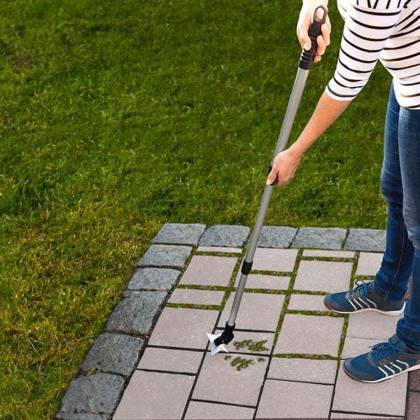 Piktžolių naikintojas – Maximex-image-1