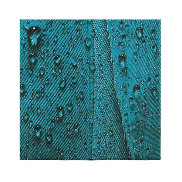 Turkio ir violetinės spalvos kilimas Oyo home Suzzo Malamento, 100 x 150 cm-image-3