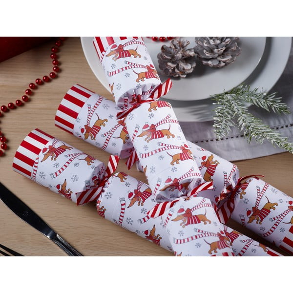 Kalėdiniai krekeriai 6 vnt. Racing Sausage Dog – Robin Reed-image-3