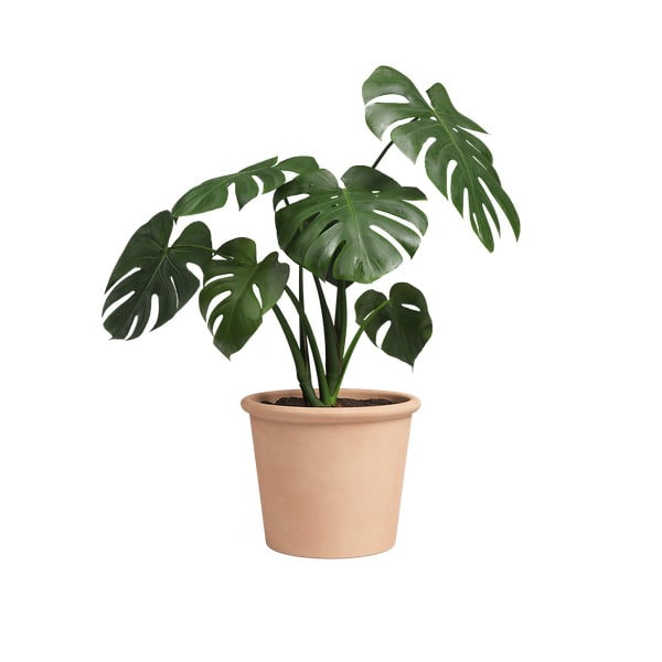 Vazonas iš terakotos ø 39 cm Saramago Cilindro – Artevasi-image-1