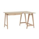 Darbo stalas 85x135 cm Luka - Ragaba