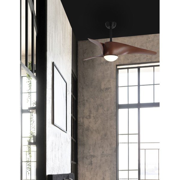 Matinės juodos spalvos/tamsios natūralios spalvos iš metalo lubinis šviestuvas LED su stiklo gaubtu Breeze – Nova Luce-image-2