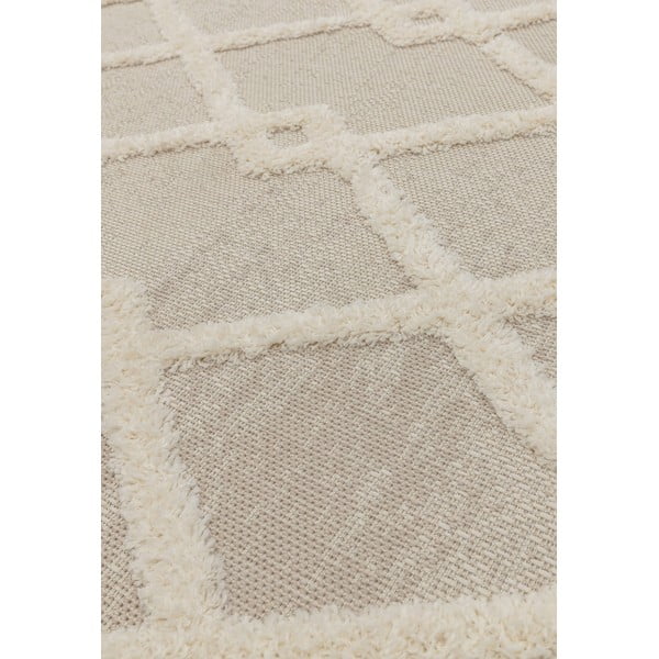 Lauko kilimas kreminės spalvos 120x170 cm Monty – Asiatic Carpets-image-2