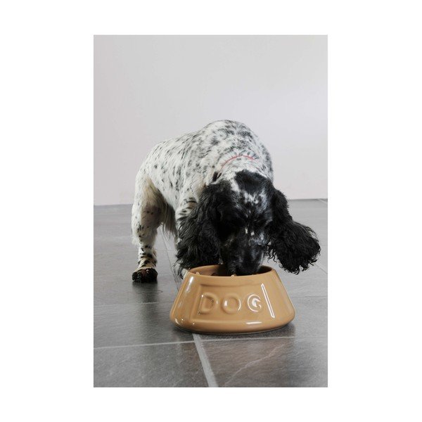 Akmens masės dubenėlis naminiams gyvūnams Mason Cash Pet Cane, ø 21 cm-image-4