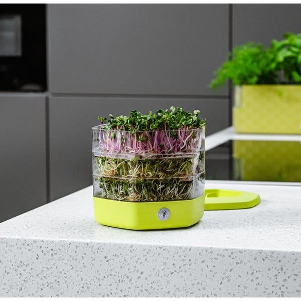 Iš plastiko daiginimo konteineris ø 17 cm Mungo – Flower Lover-image-4