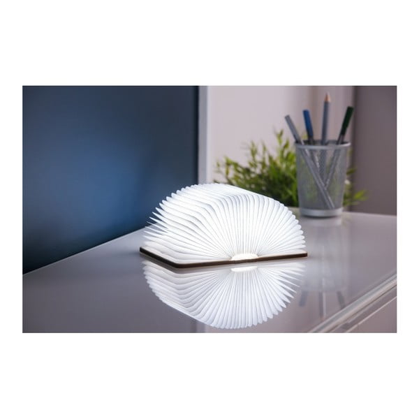 Natūralios spalvos šviečianti dekoracija USB Booklight – Gingko-image-1