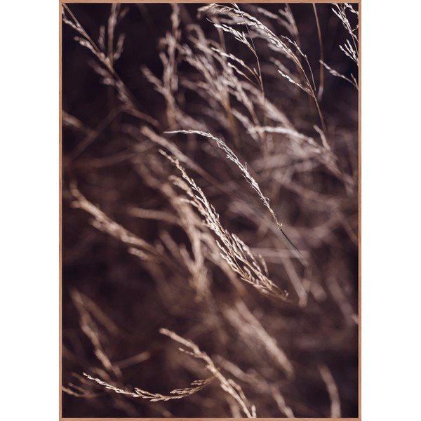 Plakatas rėmelis komplektacijoje 50x70 cm Mellow Grasses 7 – Malerifabrikken