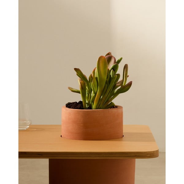 Natūralios spalvos apvalios formos kavos staliukas iš uosio 60x110 cm Olaria – Kave Home-image-2