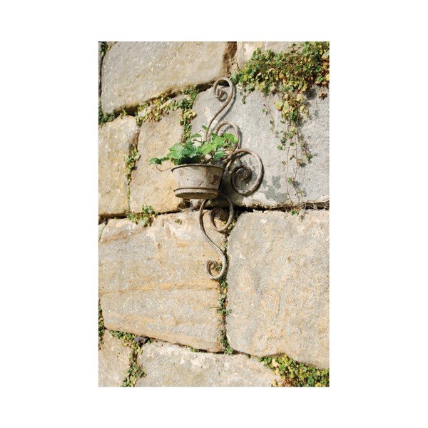 Sieninis vazonas Esschert Design Voluta-image-1