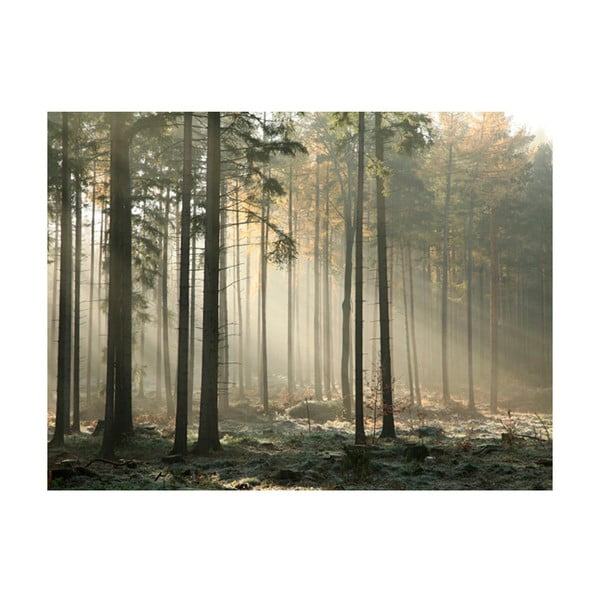Didelio formato tapetai Artgeist Foggy November Morning, 400 x 309 cm