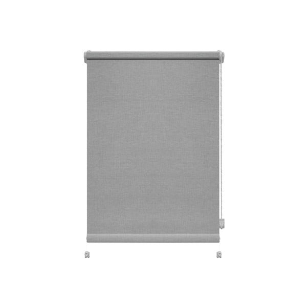 Šviesiai pilkos spalvos roletai 42,5x150 cm Mini Faro – Gardinia