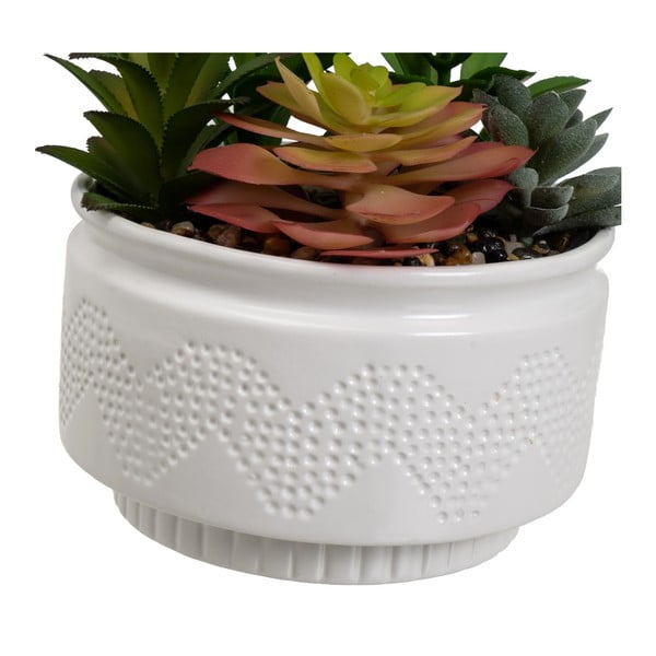 Dirbtiniai augalai 2 vnt. (aukštis 19 cm) Cactus – Casa Selección-image-1