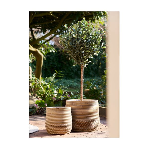 Iš rotango krepšiai 2 vnt. ø 39x35 cm Moro – House Nordic-image-1