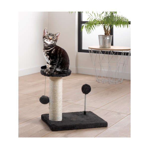 Draskyklė katei – Love Story-image-2