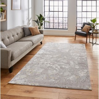 Pilkos/aukso spalvos kilimas 220x160 cm Apollo - Think Rugs
