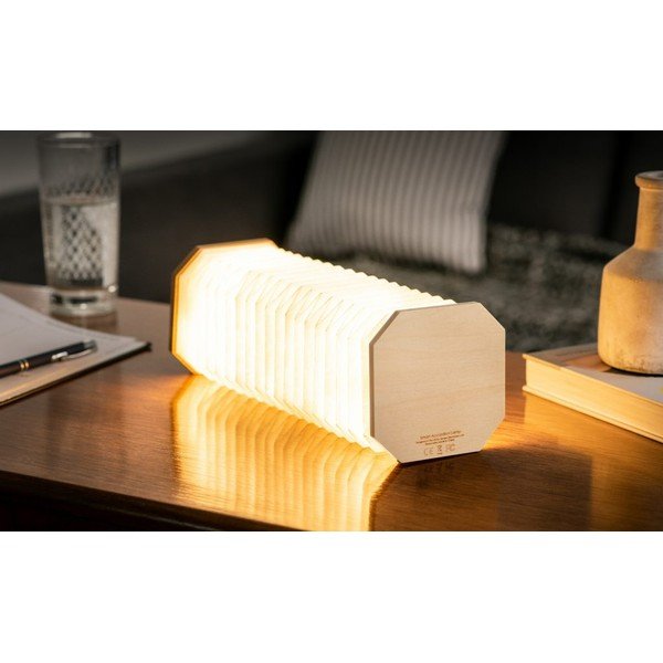 Natūralios spalvos šviečianti dekoracija USB Accordion – Gingko-image-4