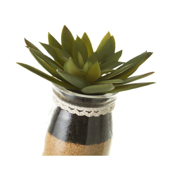 Dirbtiniai augalai 4 vnt. (aukštis 18 cm) Cactus – Casa Selección-image-3