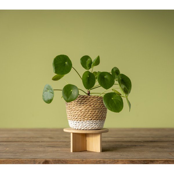 Iš bambuko gėlių stovas ø 18 cm – Esschert Design-image-3