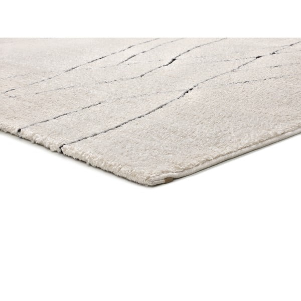 Dramblio kaulo spalvos kilimas 120x170 cm Turin – Universal-image-4