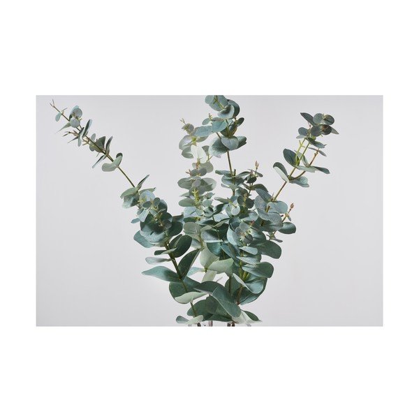 Dirbtinis eukaliptas (aukštis 71 cm) Kvist – Villa Collection-image-1