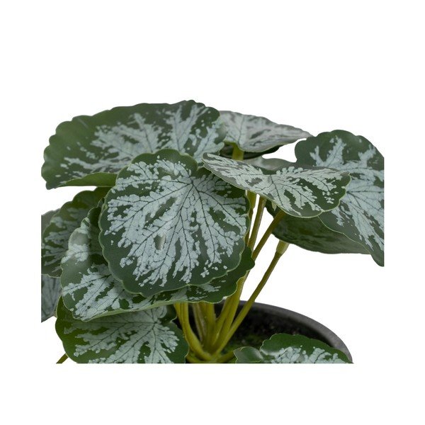 Dirbtinis augalas (aukštis 21,5 cm) Saxifraga – Ixia-image-1