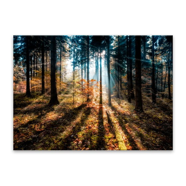 Paveikslas Styler Glasspik Autumn Sunset, 70 x 100 cm