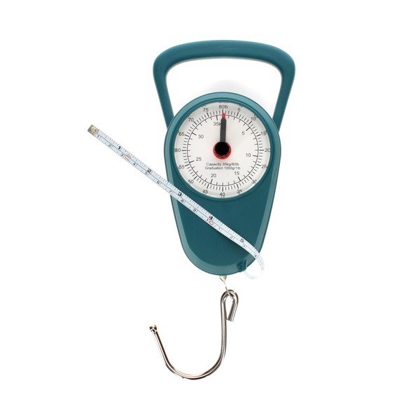 Kelioninio krepšio svoris – Rex London-image-3